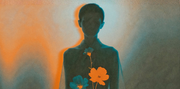 Winnicottdemocraciaosadoecimentosdavidasocial_630x313