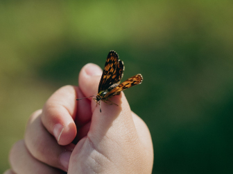 Eu sou a voz que canta